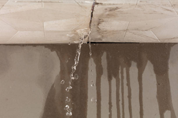 Professional Burst Pipe Cleanup technician working in Cumberland Gap, TN
